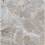 Грес ELMARO Silver F P 60x60 R Somat