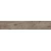 Плитка керамогранітна 897420 Alpina Wood Коричневий RECT 198x1198x8 Golden Tile