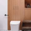 E10052 Клавіша змиву для  Geberit Sigma (1 сорт)