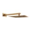 D113000000120BG Flow Верхня душова лійка 250x250 мм з кронштейном, brushed gold (1 сорт)