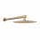 D113000000110BG Flow Верхня душова лійка d250 мм з кронштейном, brushed gold (1 сорт)