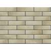 Плитка фасадна Retro Brick Salt Spec 65x245x8 Cerrad