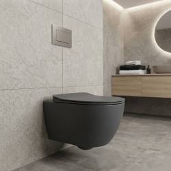 FE322-11AM00E-0000 FREE Унітаз підвісний з кришкою Soft Closing , безобідковий, Anthracite Matt (1 сорт)