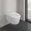 5656CL01 Skyla  Унітаз підвісний DirectFlush з кришкою QuickRelease/SoftClosing з турбозмивом, White Alpin (1 сорт)