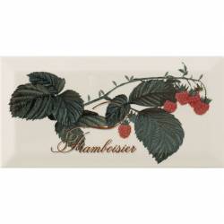 Декор PROVENCE FRAMBOISIER 10х20
