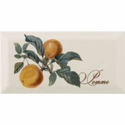 Декор PROVENCE POMME 10х20