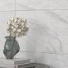 SELEST LIGHT GREY GLOSSY (1 сорт)