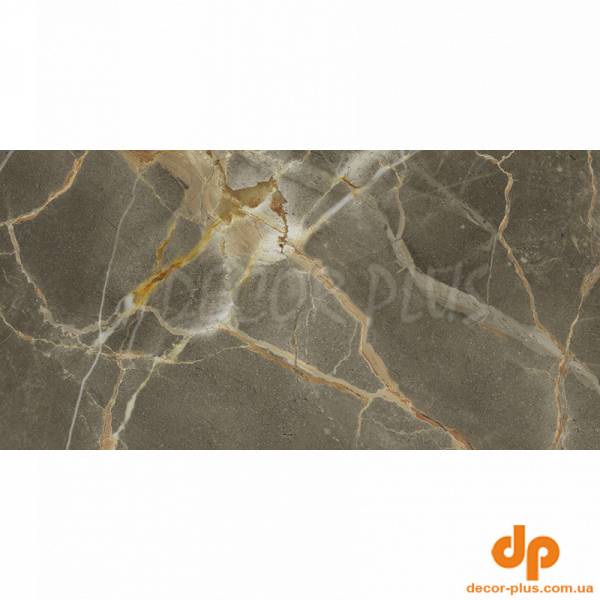 Грес RISCAL BROWN 60х120