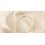 Декор Effecta Beige Inserto 297×600x9 Opoczno