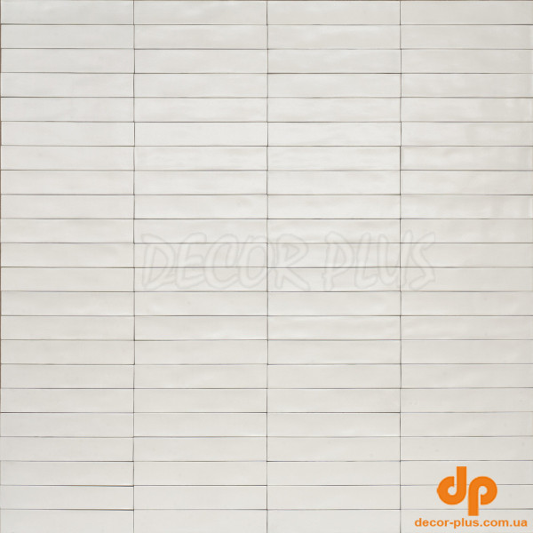 Плитка стінова RCGA Wish White Semimatt 53x300 Ragno