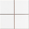 BLANCO LISO BRILLO 10X10 (1 сорт)