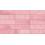 EC.NEXTI PINK (1 сорт)