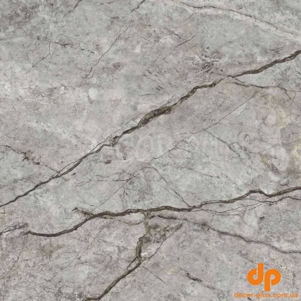 Плитка керамогранітна CM2580 Carisma Сірий RECT 600x600x8 Golden Tile