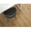 EGGER PRO Laminate EPL208 Дуб Норд натуральный