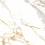 Плитка Stevol Medici gold 120х120