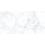 Плитка Stevol Fogy white полір. 60X120