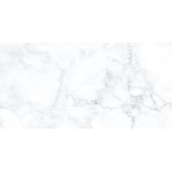 Плитка Stevol Fogy white полір. 60X120