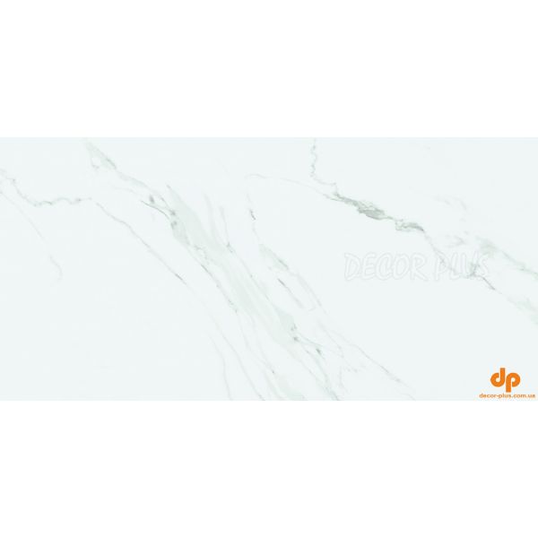 Плитка Stevol Carrara Gris MYR (матовая) 60х120