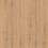 Kastamonu FLOORPAN NATUREL  ALTINKUM FN016