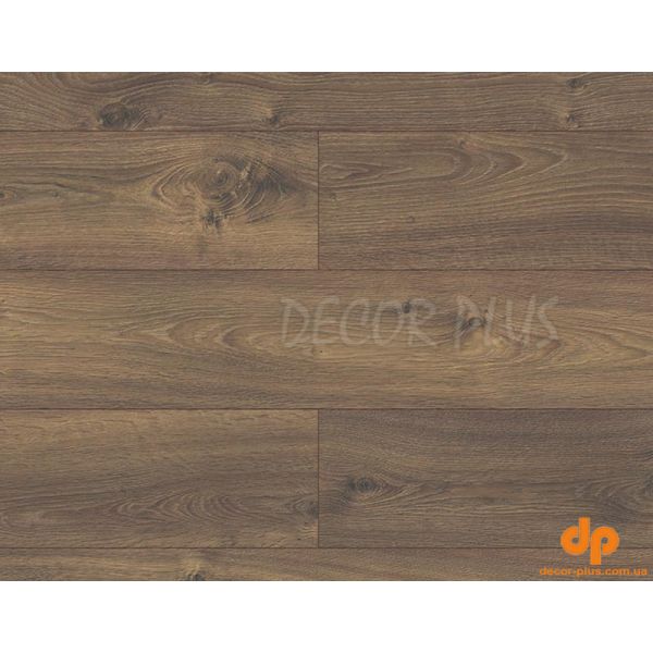 KRONOPOL TESTA Uriel Oak D3104