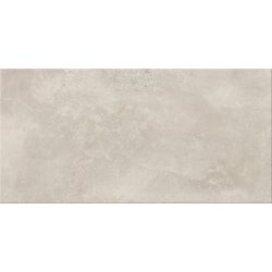 Плитка підлогова Normandie Light Grey 29,7x59,8 код 8237 Церсаніт