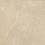 Плитка керамогранітна Sunnydust Beige RECT 598x598x9 Paradyz