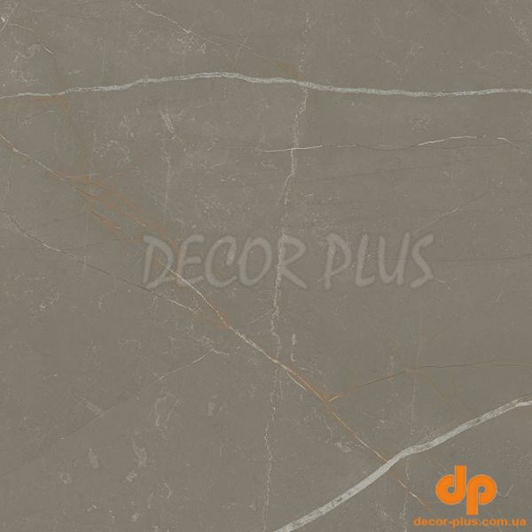 Плитка керамогранітна Linearstone Taupe RECT 598x598x9 Paradyz