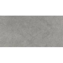 Плитка підлогова Authority Grey SZKL RECT MAT 60x120 код 1239 Ceramika Paradyz