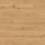 Egger Aqua Clic Classic Oak Predaia Honey EL1005