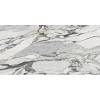 PS3D751501 LILAC PICASSO (1 сорт)