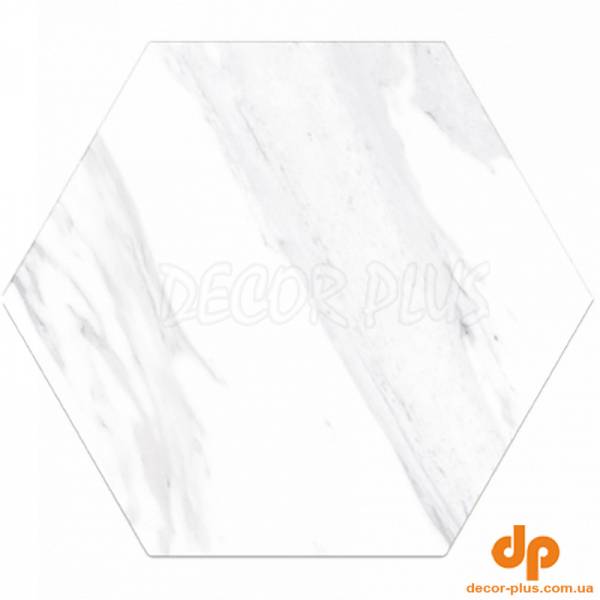 Грес NEO WHITE HEX 20х24