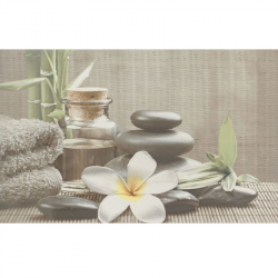 Декор OLIVIA GREY SPA 1 25х40