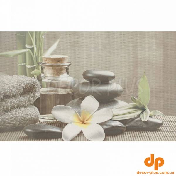 Декор OLIVIA GREY SPA 1 25х40