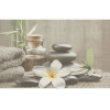 Декор OLIVIA GREY SPA 1 25х40
