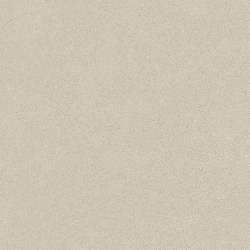Плитка керамогранітна 8M61 Mousse-R Greige 800x800 Arcana Ceramica