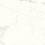 Грес GPT1006 WHITE SATIN RECT 59,8х59,8