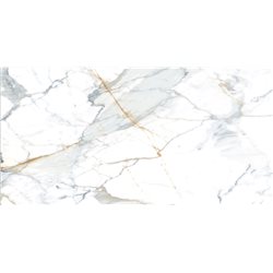Керамогранит плитка Stevol DP5194-120 Calacatta premium