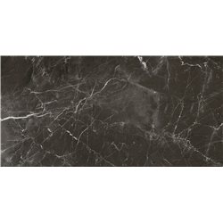 Керамогранит плитка Stevol SP61208 stone brown polished