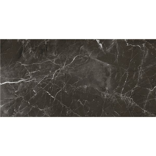 Керамогранит плитка Stevol SP61208 stone brown polished