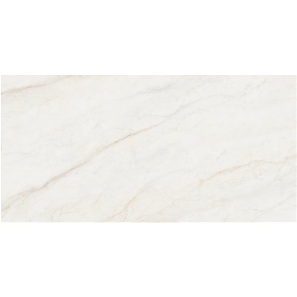 Керамогранит плитка Stevol ST6121326P полир