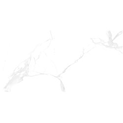 Керамогранит плитка Stevol ST6121202P Cararra NEW