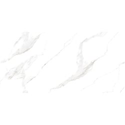 Плитка керамогранітна Elite Carrara Carving