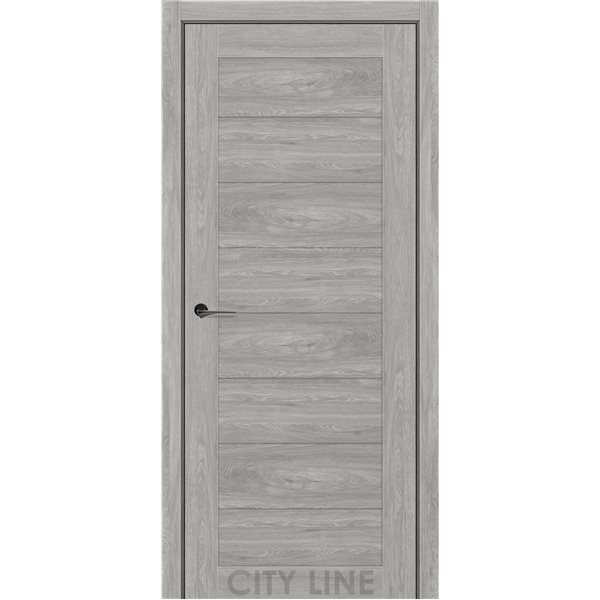 Двері міжкімнатні CITY LINE EXPRESS ARNETT Артвуд Сканді Глухе