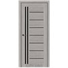 Двері міжкімнатні CITY LINE EXPRESS OPTIMA  Дуб Гладстоун Грей Чорне скло