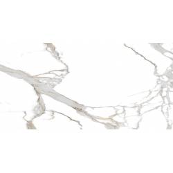 Плитка керамогранітна Daniel Statuario POL 600x1200 Raviraj