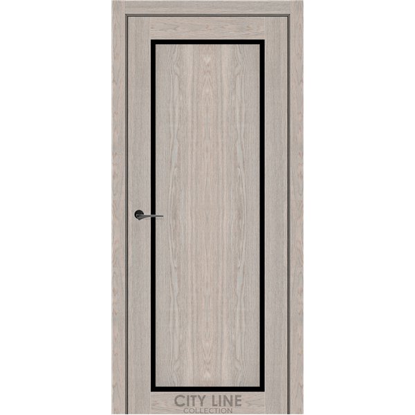 Міжкімнатні двері CITY LINE INDIGO Астана Розвуд BLK