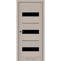 Міжкімнатні двері CITY LINE ARION Астана Розвуд BLK