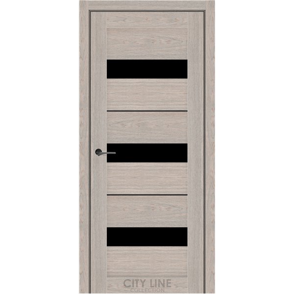 Міжкімнатні двері CITY LINE ARION Астана Розвуд BLK
