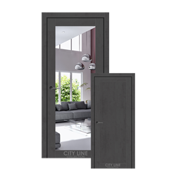 Міжкімнатні двері CITY LINE TRENTON Хромікс Антрацит Дзеркало срібне