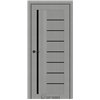 Двери межкомнатные Darumi FLORIANA 01 Металлический грей Черный